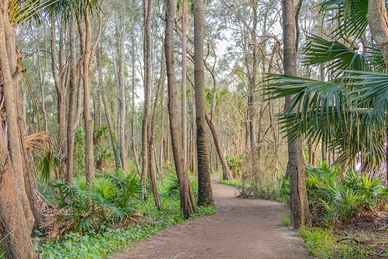 Bilarong Reserve - Image 1