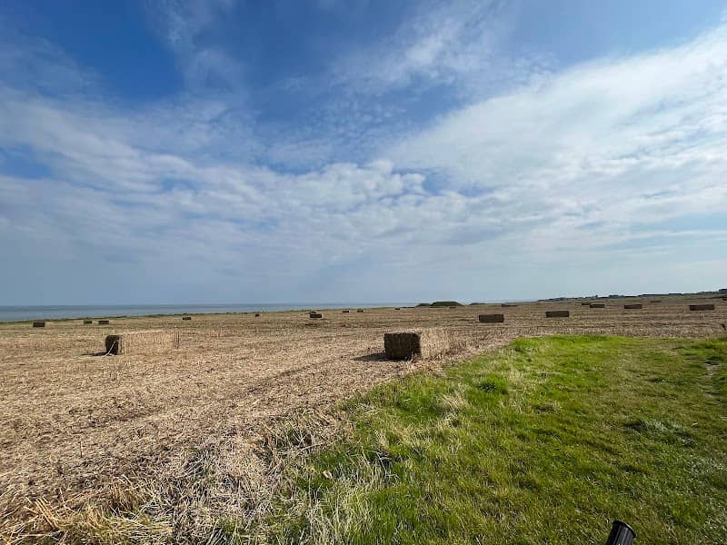 Whitburn Nature Reserve Bird Hide - Image 1