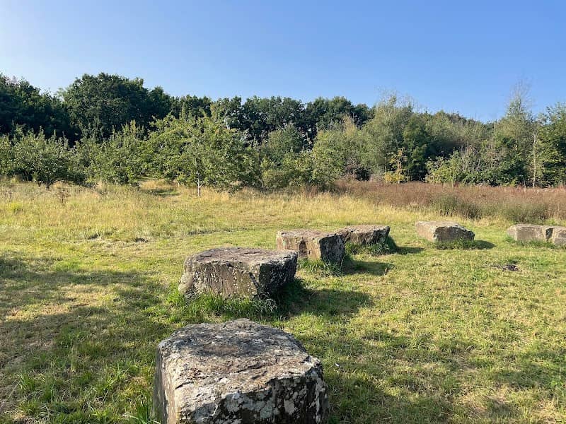 Lightshaw Meadows - The copse - Image 1