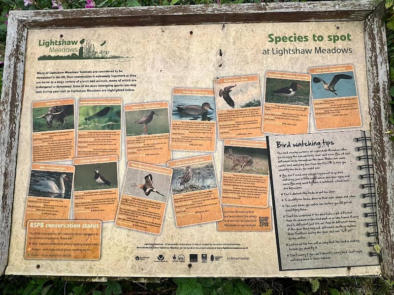 Lightshaw Meadows - The copse - Image 2