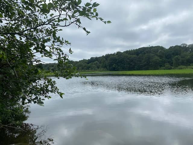 Pratt and Post Coves Preserve - Image 1