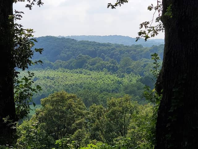 Overlook Park - Image 1