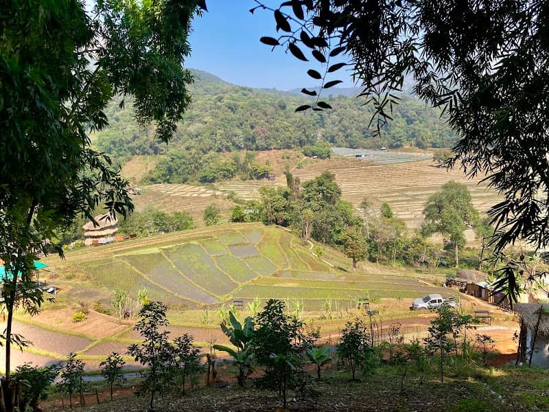 Terrace fields on a hike - Image 1
