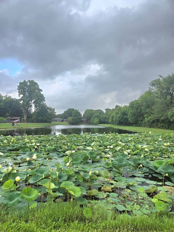 Bell-Vue Park - Image 1