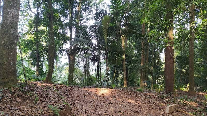 Bodogol Damar Camp - Image 2