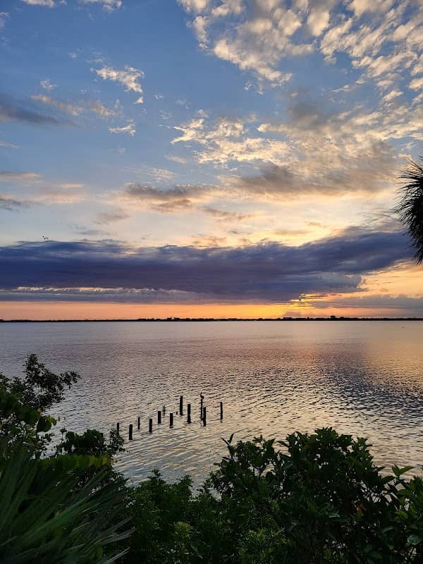 Banana River - Image 2