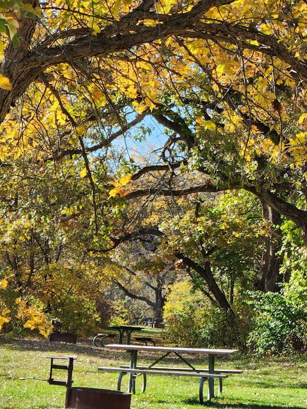 Stephens State Forest - Image 1
