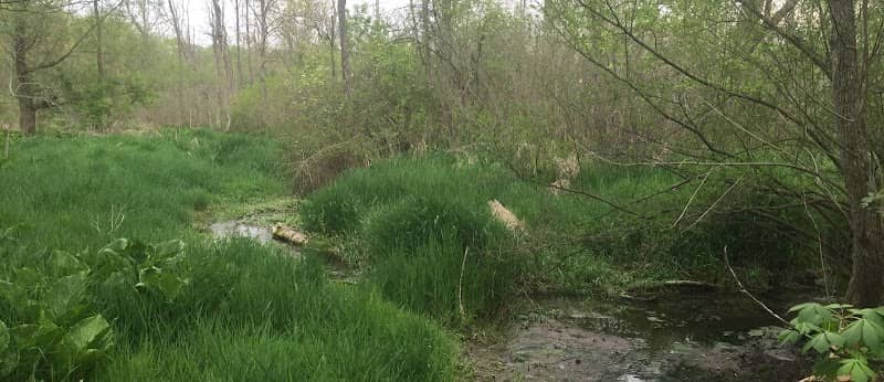 Estel Wenrick Wetlands - Image 2