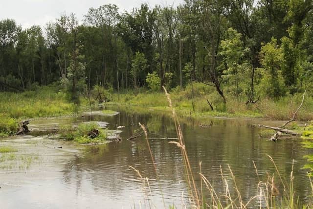 Estel Wenrick Wetlands - Image 2