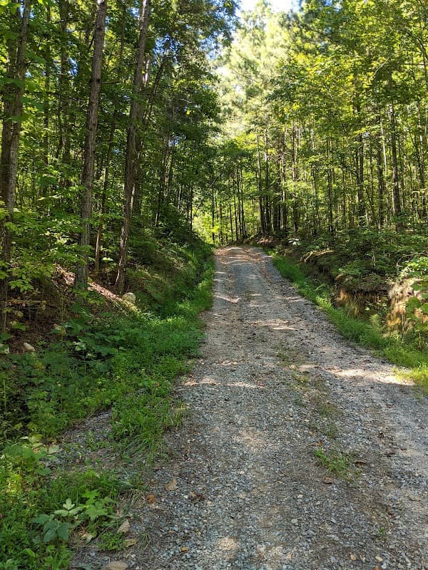 Doris Wigington Park - Image 1