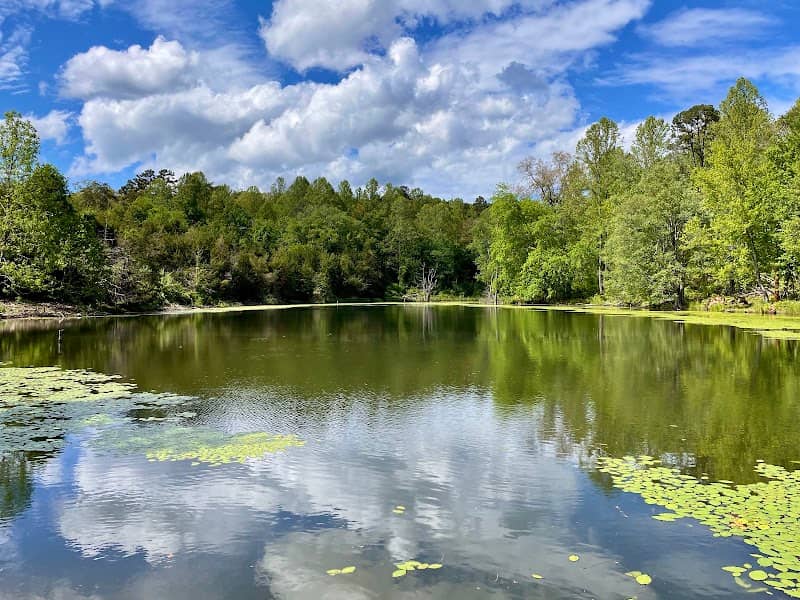 Biscuit Run Park - Image 2