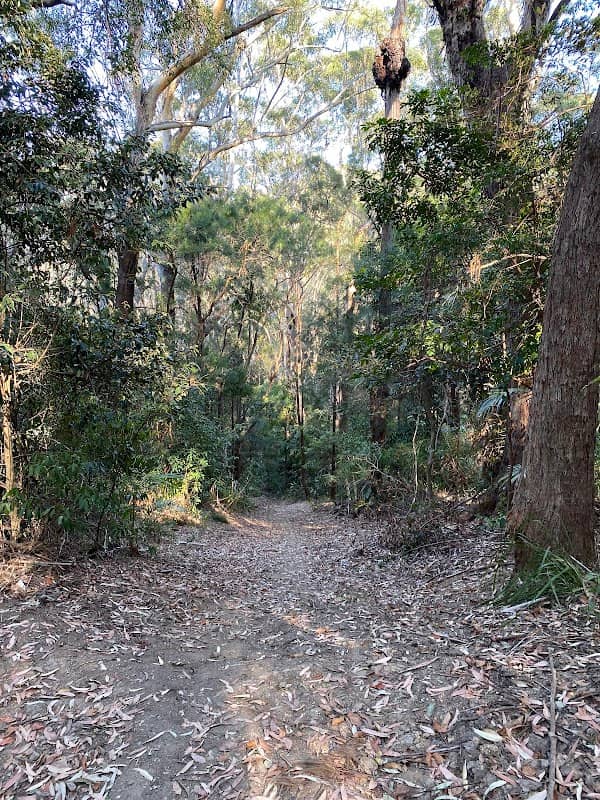 End Peak walking track - Image 3