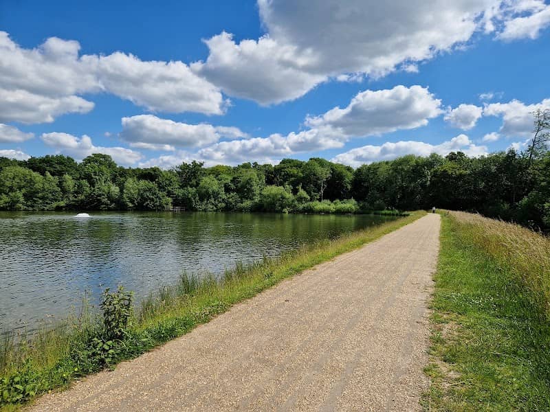 Hatfield Forest - Image 1