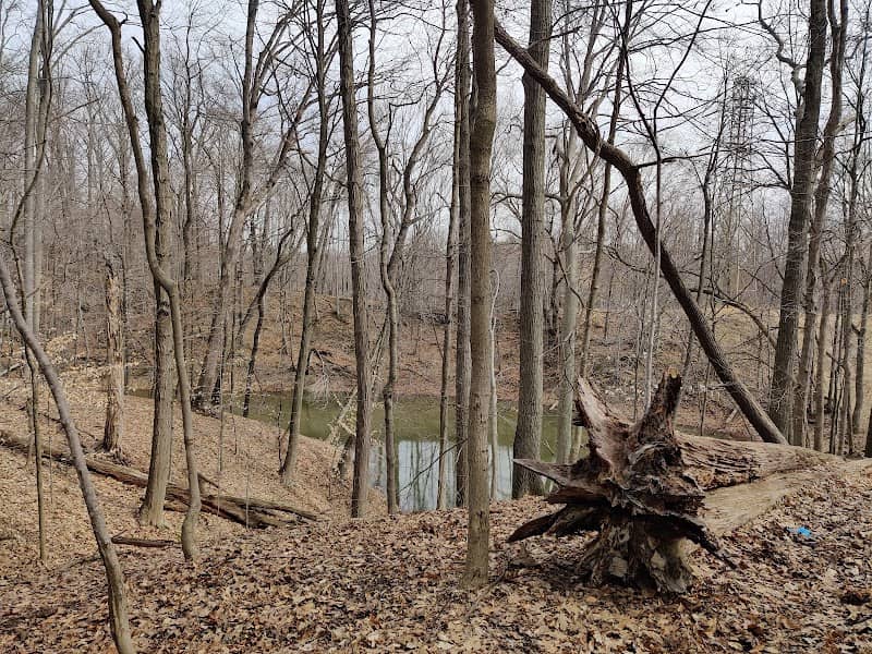 Hemlock Creek Trail - West Creek Conservancy - Image 1
