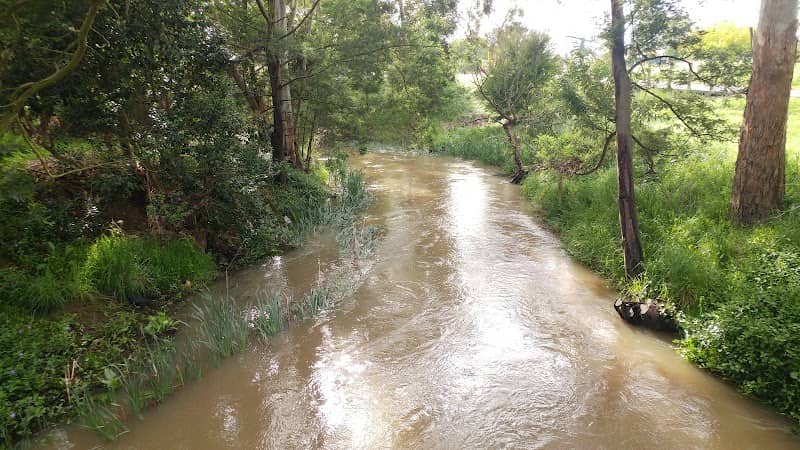 Newman Park - Image 2