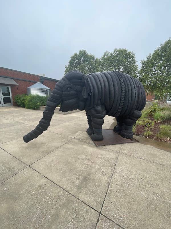 The Elephant Sanctuary in Tennessee — Elephant Discovery Center - Image 1