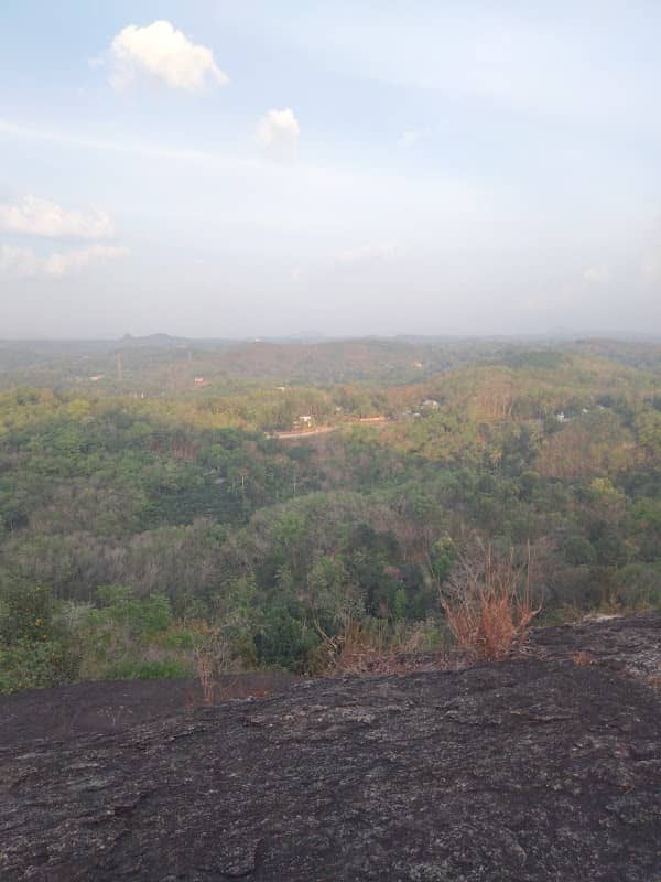 Vattappara View Point - Image 1