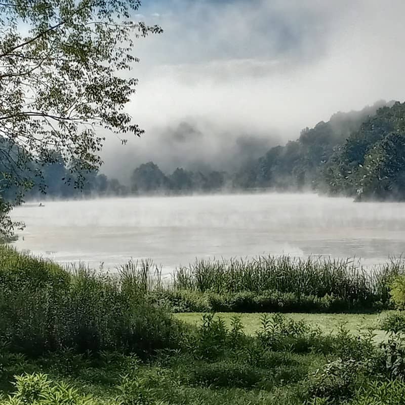 Conaway Run Public Fishing - Image 1
