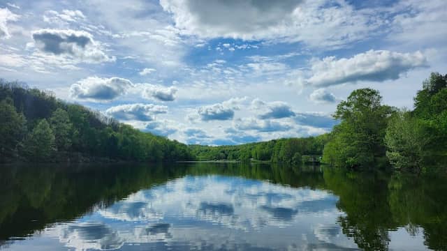Conaway Run Public Fishing - Image 2