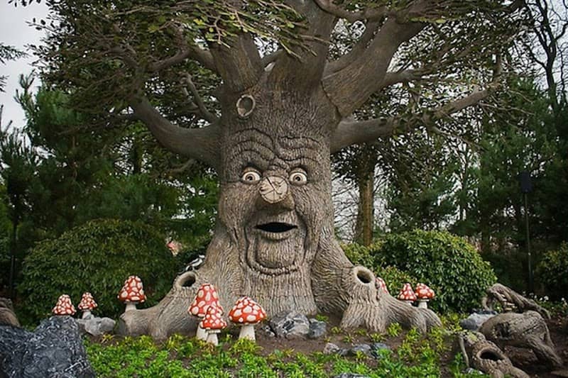 De Boom - Image 2