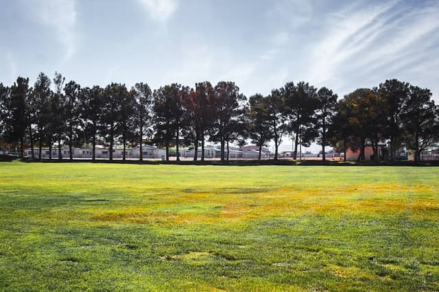 Freedom Park - Image 3