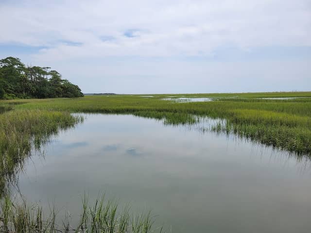 Driftwood Beach - Image 3