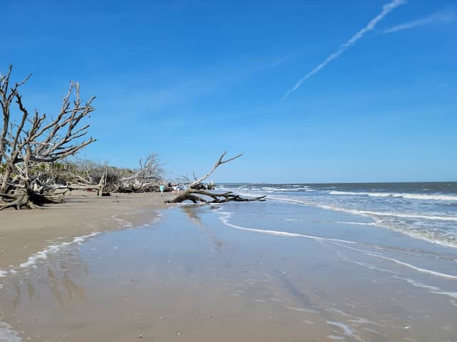 Driftwood Beach - Image 1