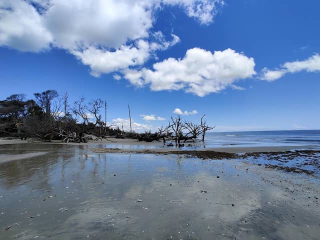 Driftwood Beach - Image 2