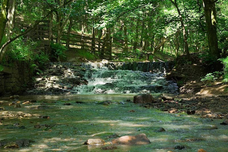 Edenfield Waterfall - Image 3
