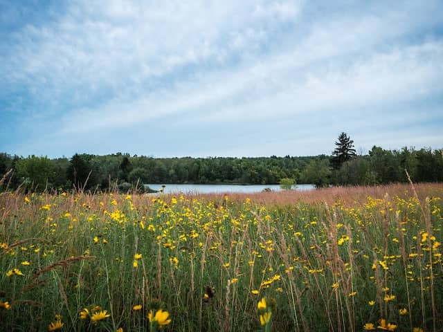 Lake La Su An Wildlife Area - Image 1