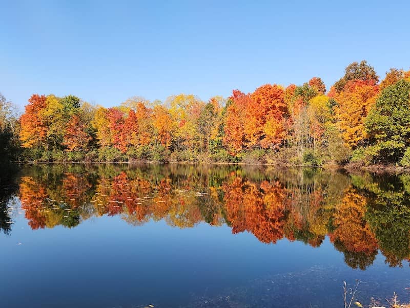 Lake La Su An Wildlife Area - Image 1
