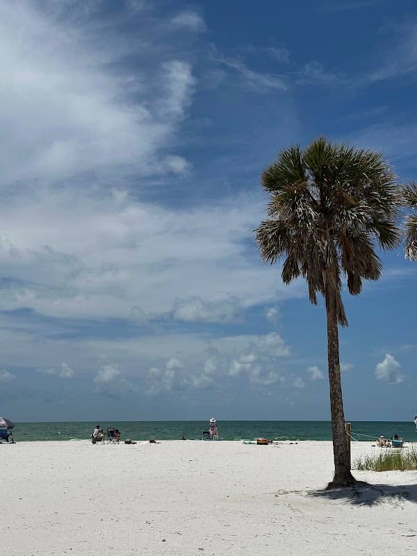 Honeymoon Island - Image 3