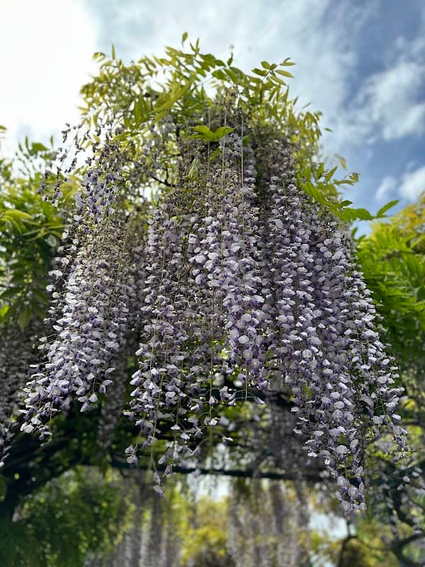 Brunnen am Schaugarten - Image 1