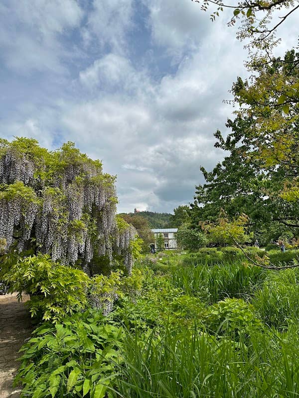 Brunnen am Schaugarten - Image 2