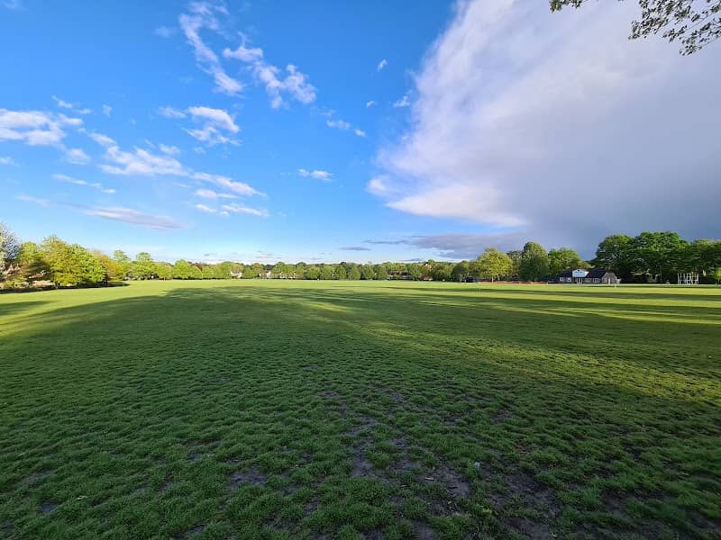 Lindfield Common - Image 2