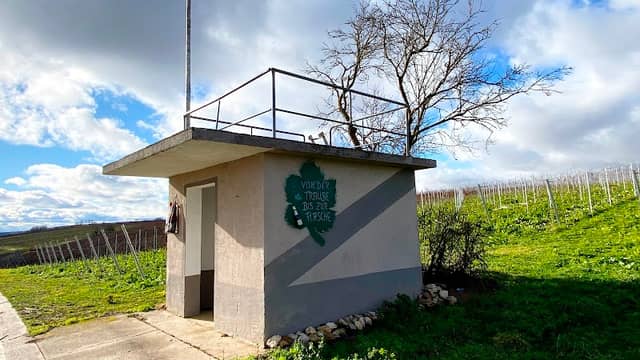 Weinbergshäuschen Hoch II - Image 1