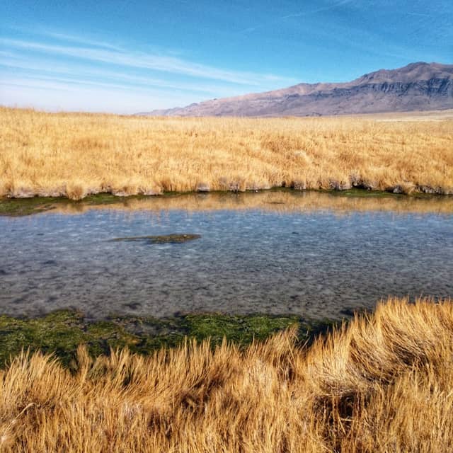 Horseshoe Springs - Image 2