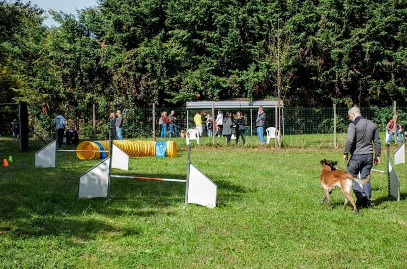 DOGS CROSSING ASD CENTRO CINOFILO - Image 2