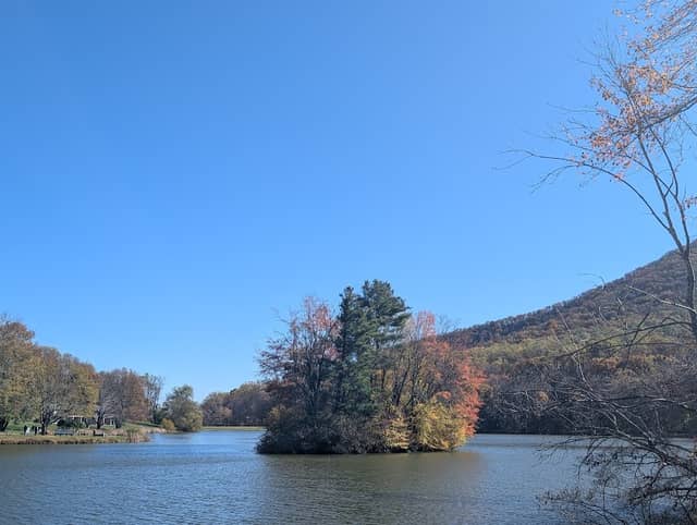 Turtle Island - Image 1