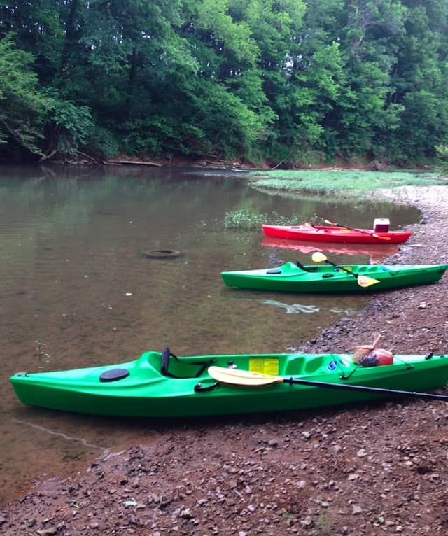 Drakes Creek Canoe - Image 2