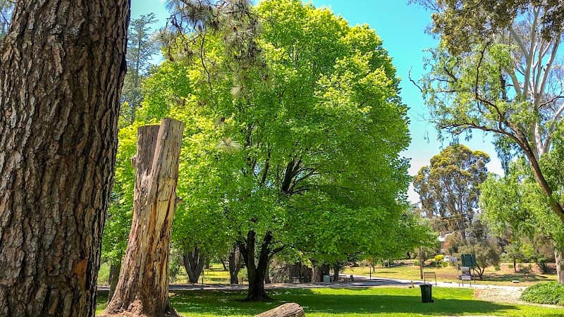 Pioneer Park - Image 1