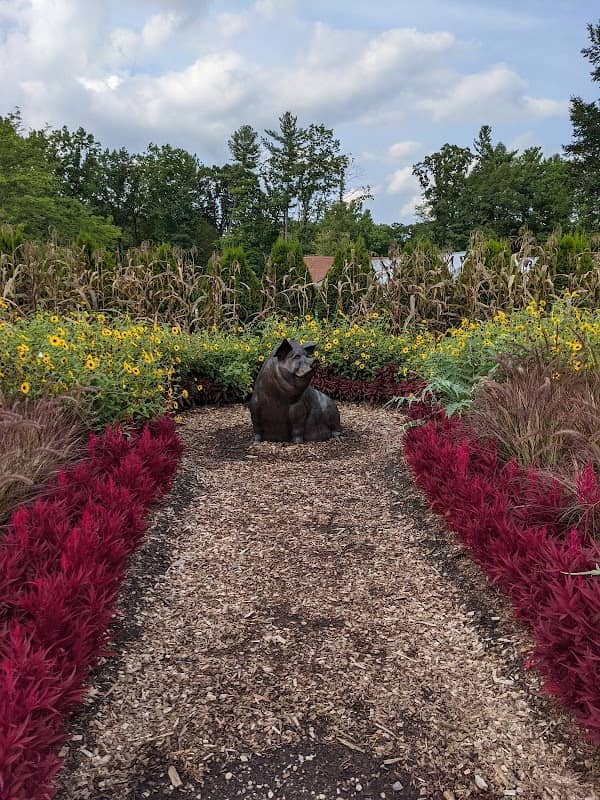 Children's Garden - Image 3