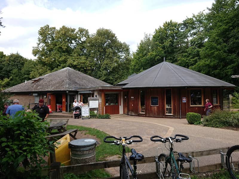 Brandon Country Park - Image 2