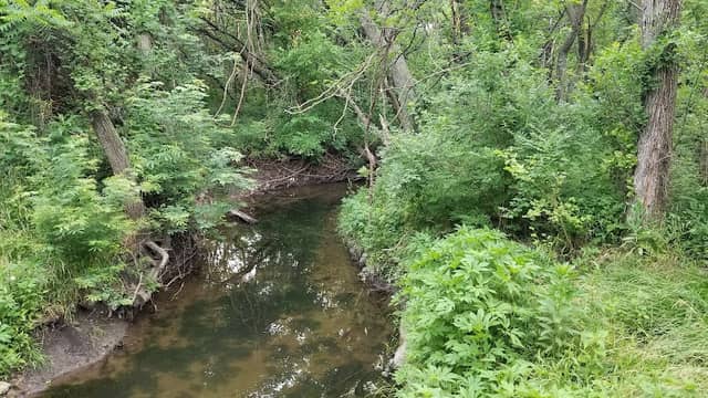 Winwood Park - Image 1