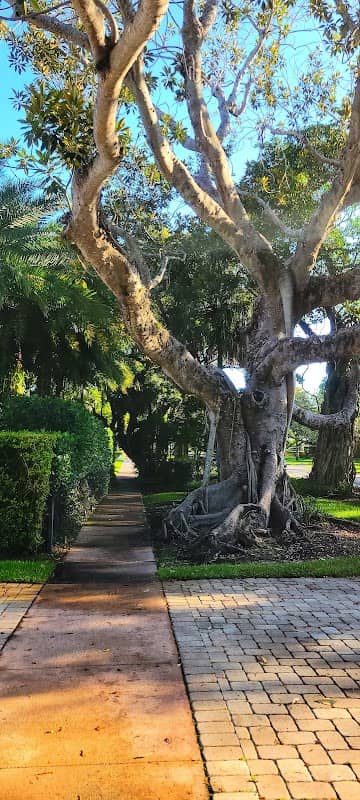 Majorca Park - Image 2