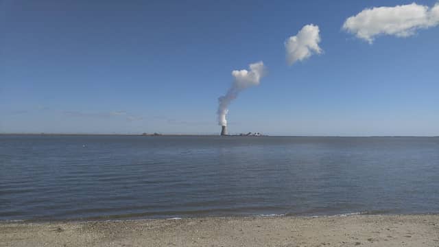 Augustine Beach Access Area - Image 1