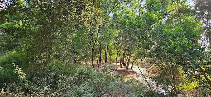 Chikkadunnasandra Lake - Image 1
