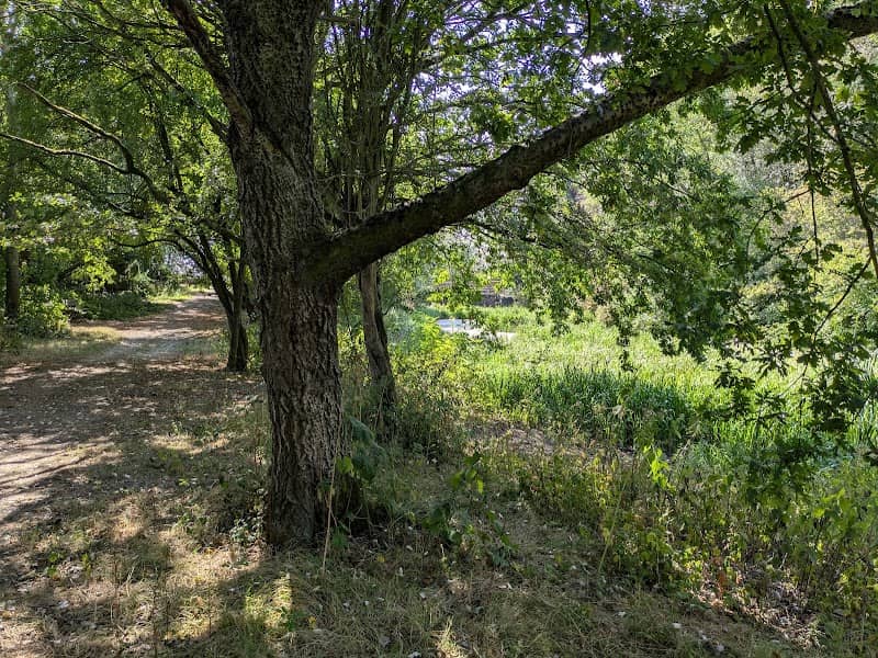 Smalley Dam - Image 2