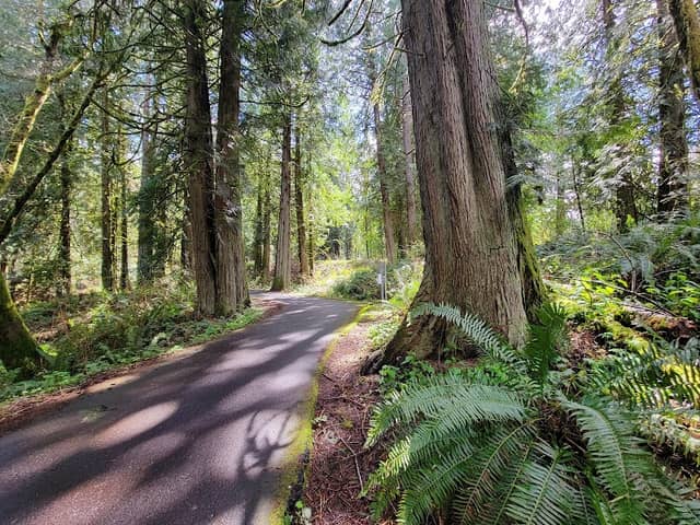 Chehalis Western - Woodard Bay Trailhead - Image 3
