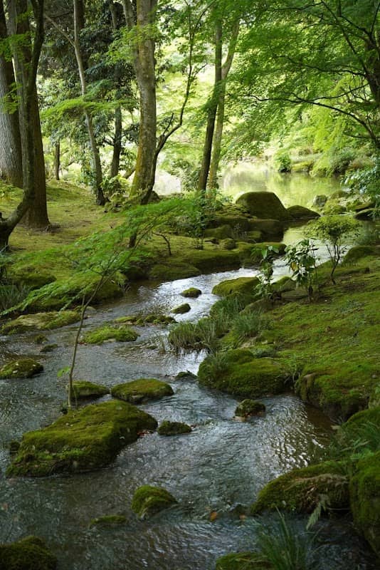Monju Pond - Image 2
